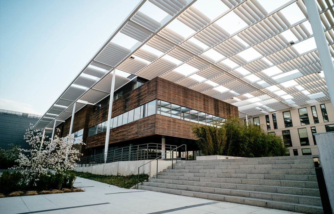 MATIC Historical Price Chart